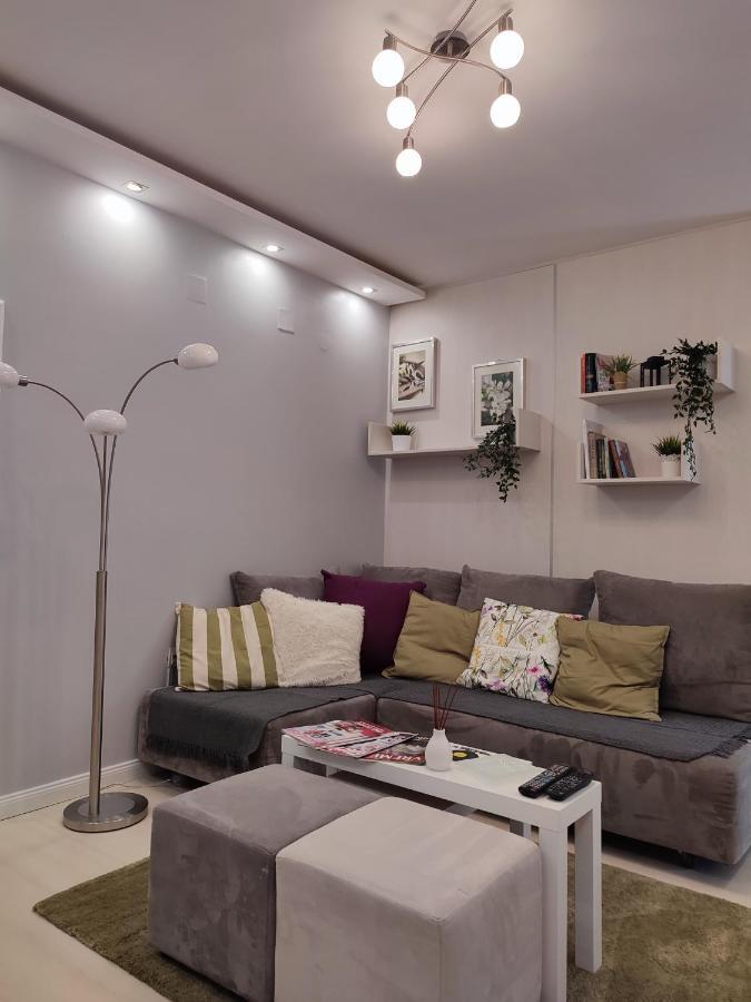 Center Danube Street Apartment Novi Sad Eksteriør billede