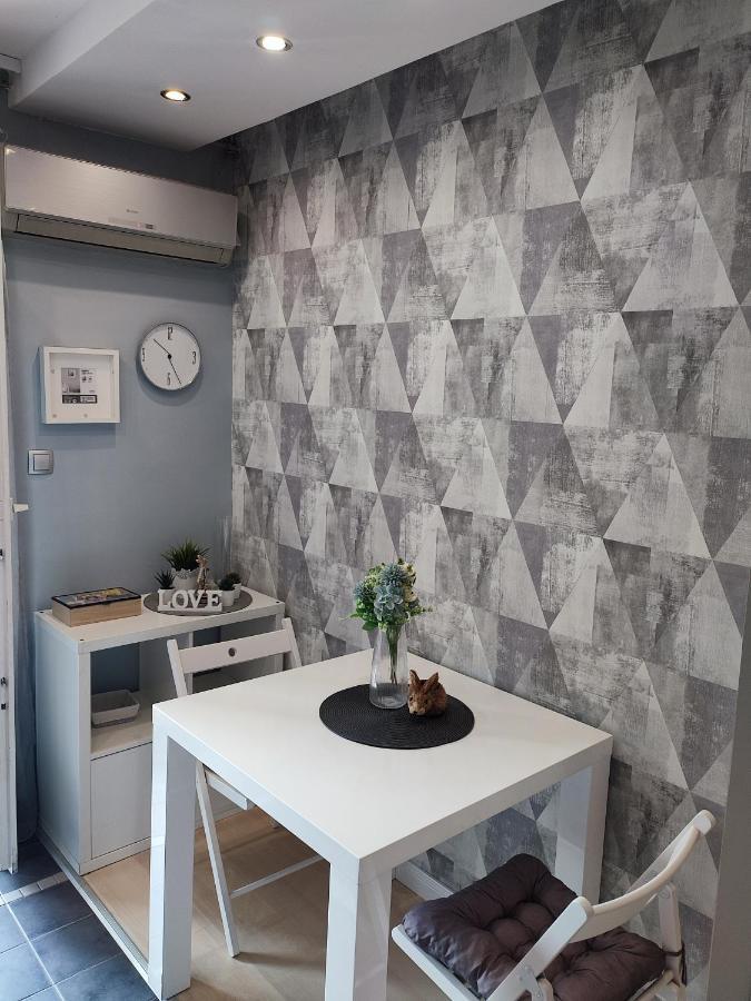 Center Danube Street Apartment Novi Sad Eksteriør billede