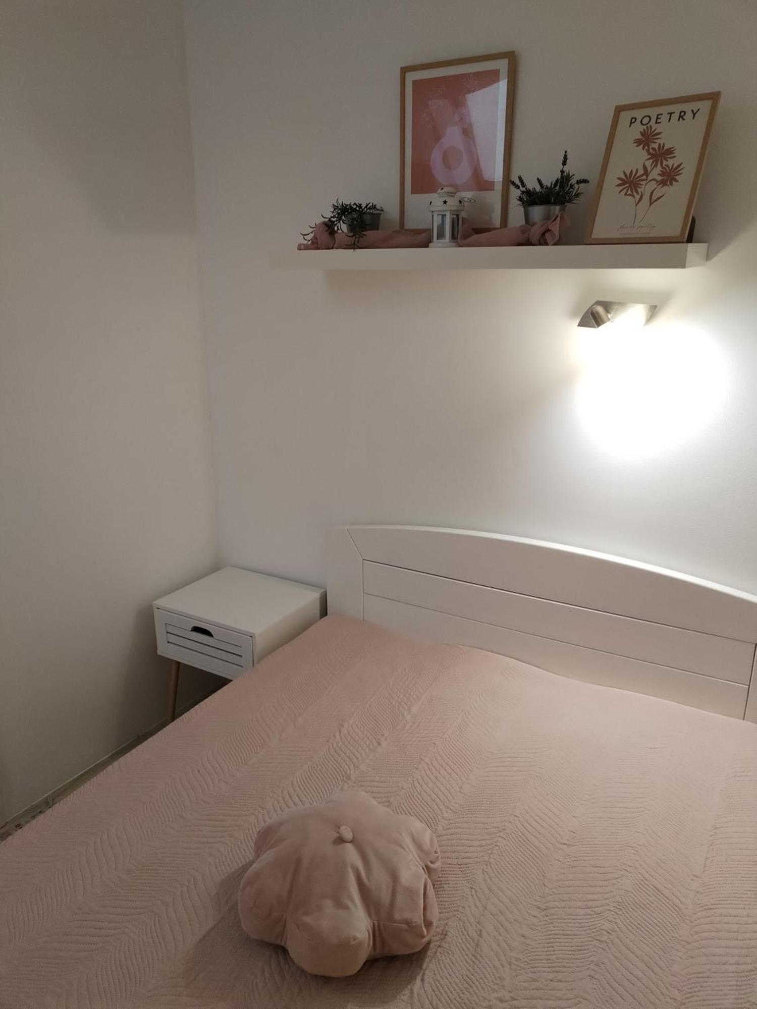 Center Danube Street Apartment Novi Sad Eksteriør billede